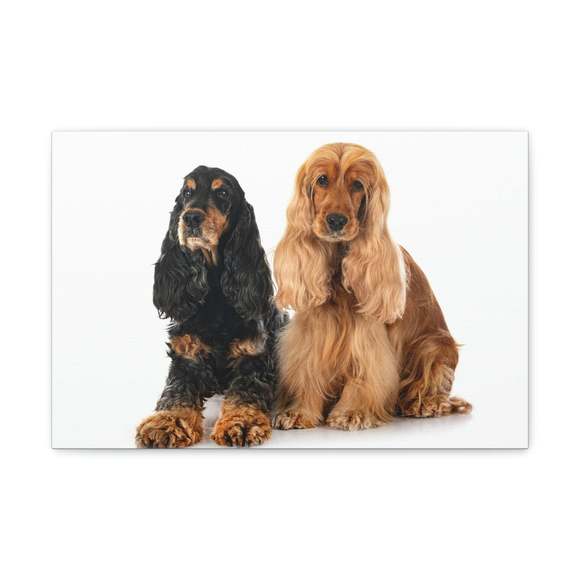 Cocker Spaniel Couple Cocker Spaniel Troop Print Animal Wall Art Wildlife Canvas
